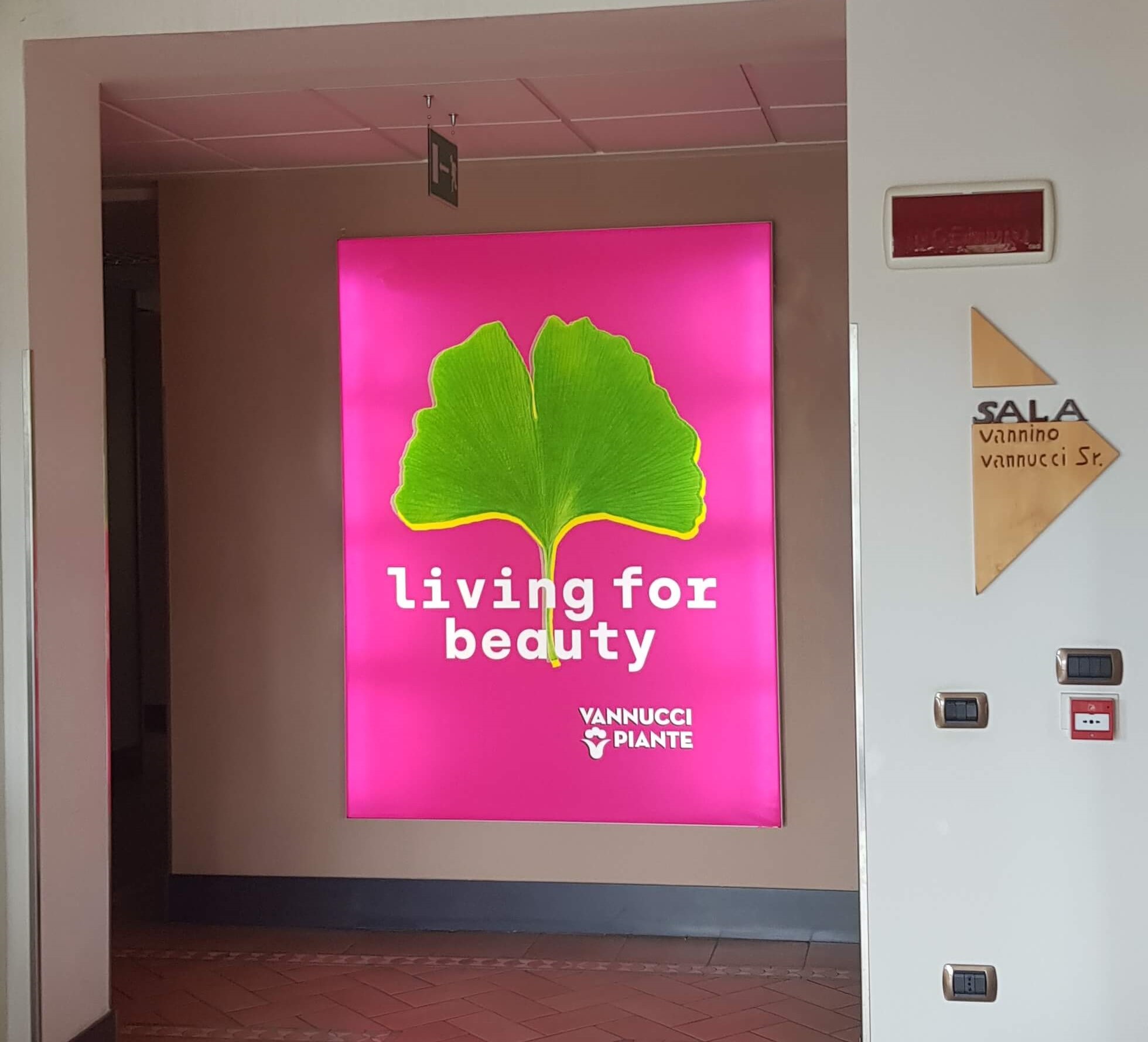 Banner Pubblicitario Backlite con Stampa Personalizzata